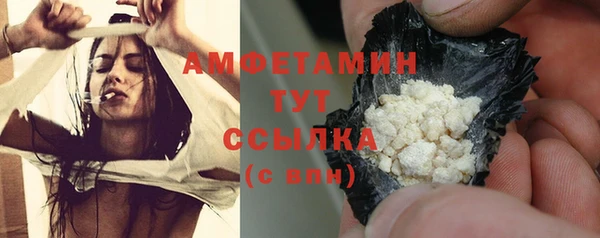 PSILOCYBIN Алзамай