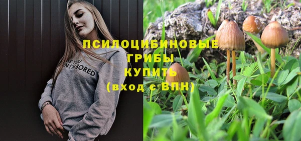2c-b Алексин