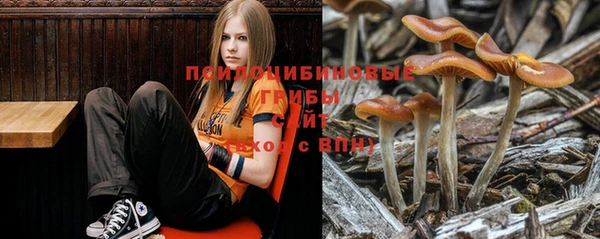 марихуана Новозыбков
