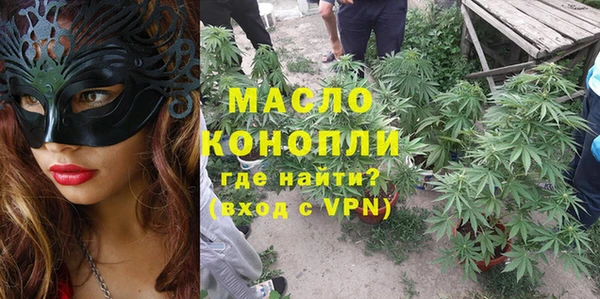 индика Новокубанск