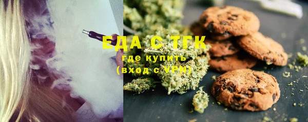 индика Новокубанск